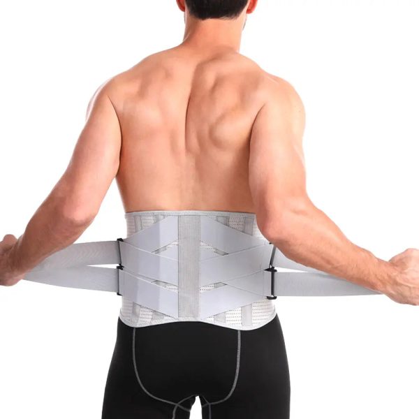 Ceinture dorsale Calmazen