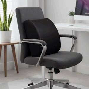 Coussin_pour_lombaire_ergonomique_sur_chaise_de_bureau.jpg Coussin pour lombaire ErgoComfort