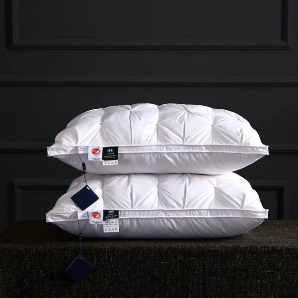 oreiller en duvet d'oie naturel